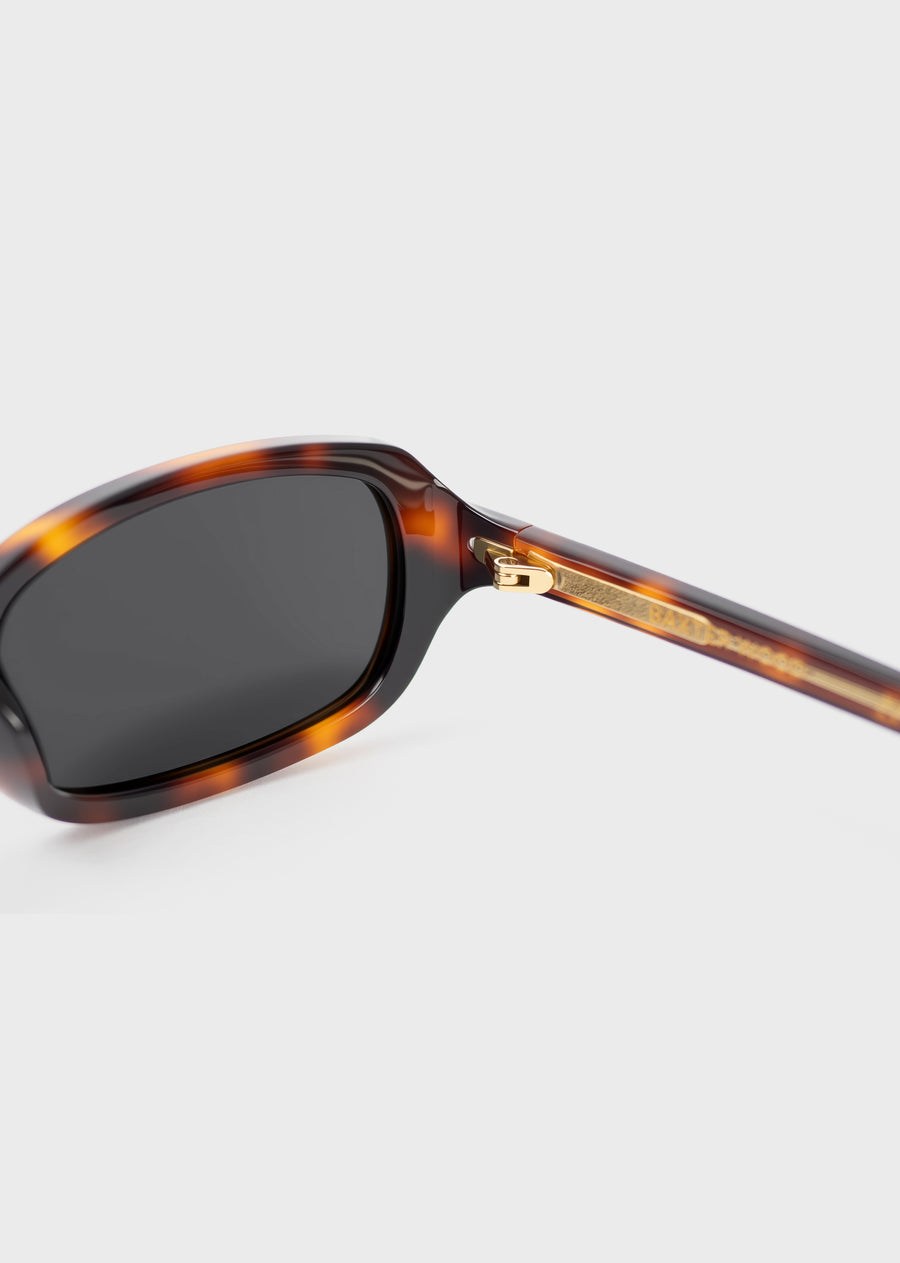Model 3 Tortoise