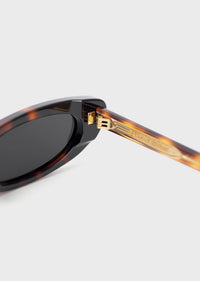 Model 4 Tortoise