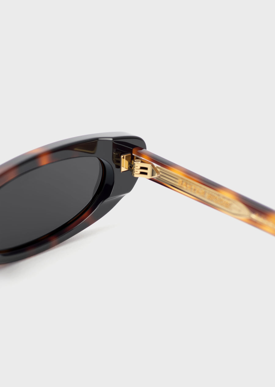 Model 4 Tortoise