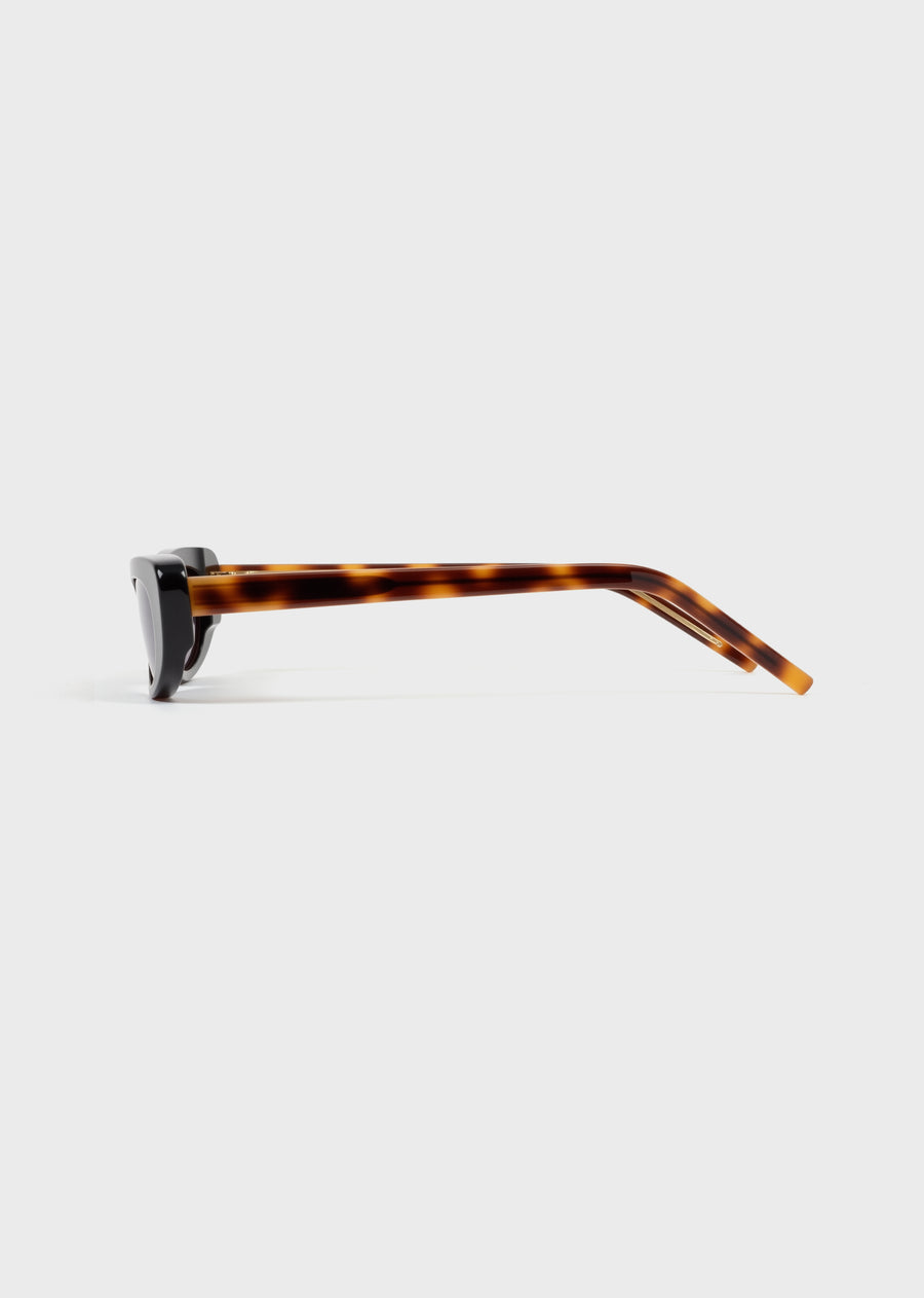 Model 4 Tortoise
