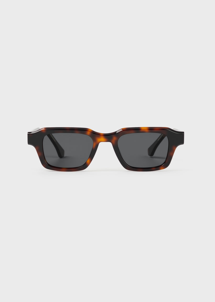 Model 5 Tortoise
