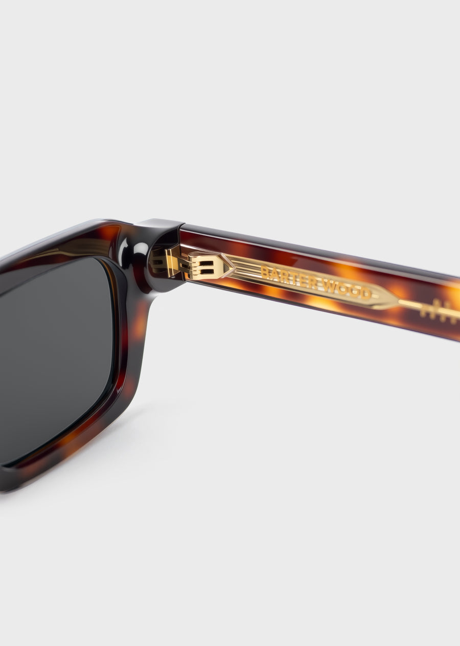 Model 5 Tortoise