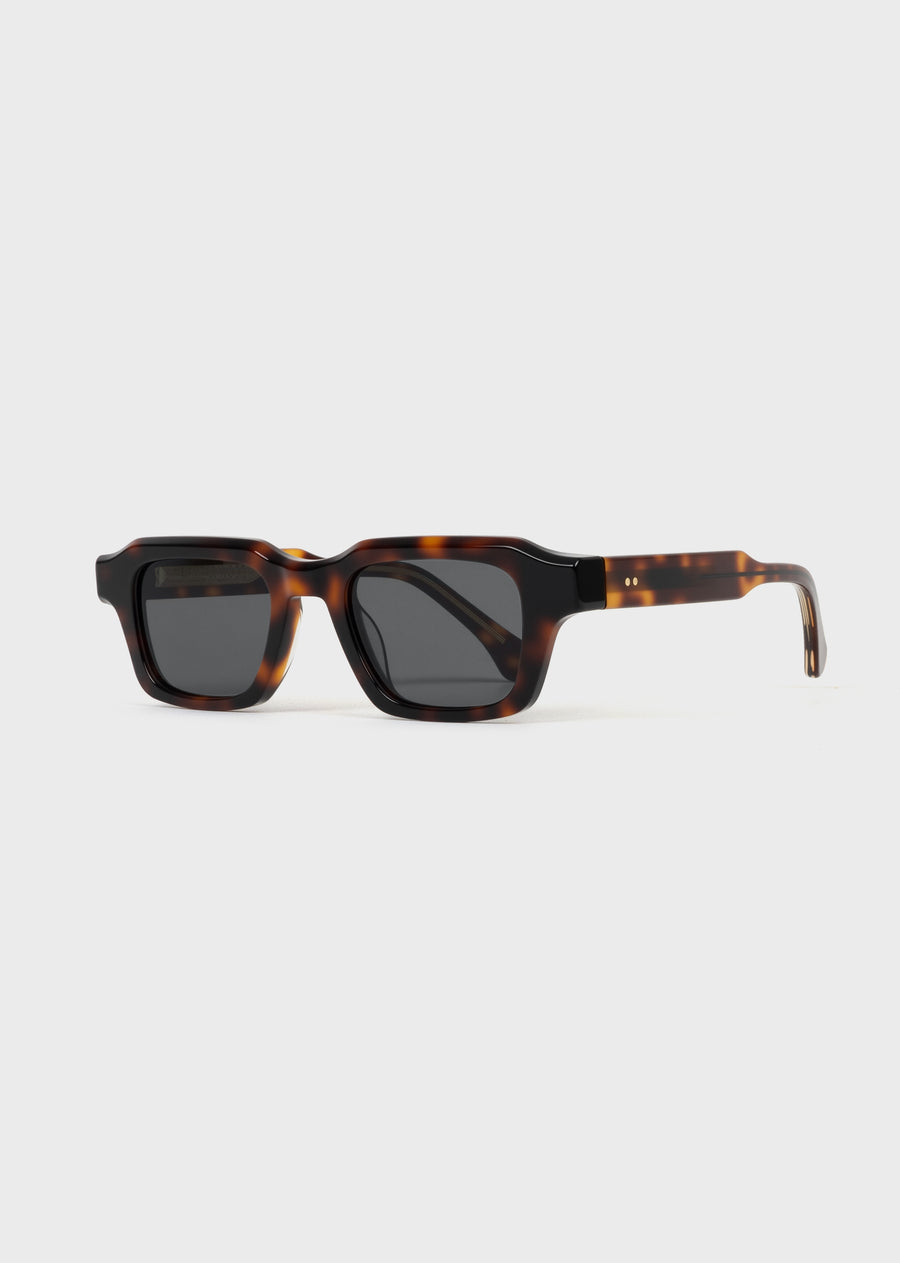 Model 5 Tortoise