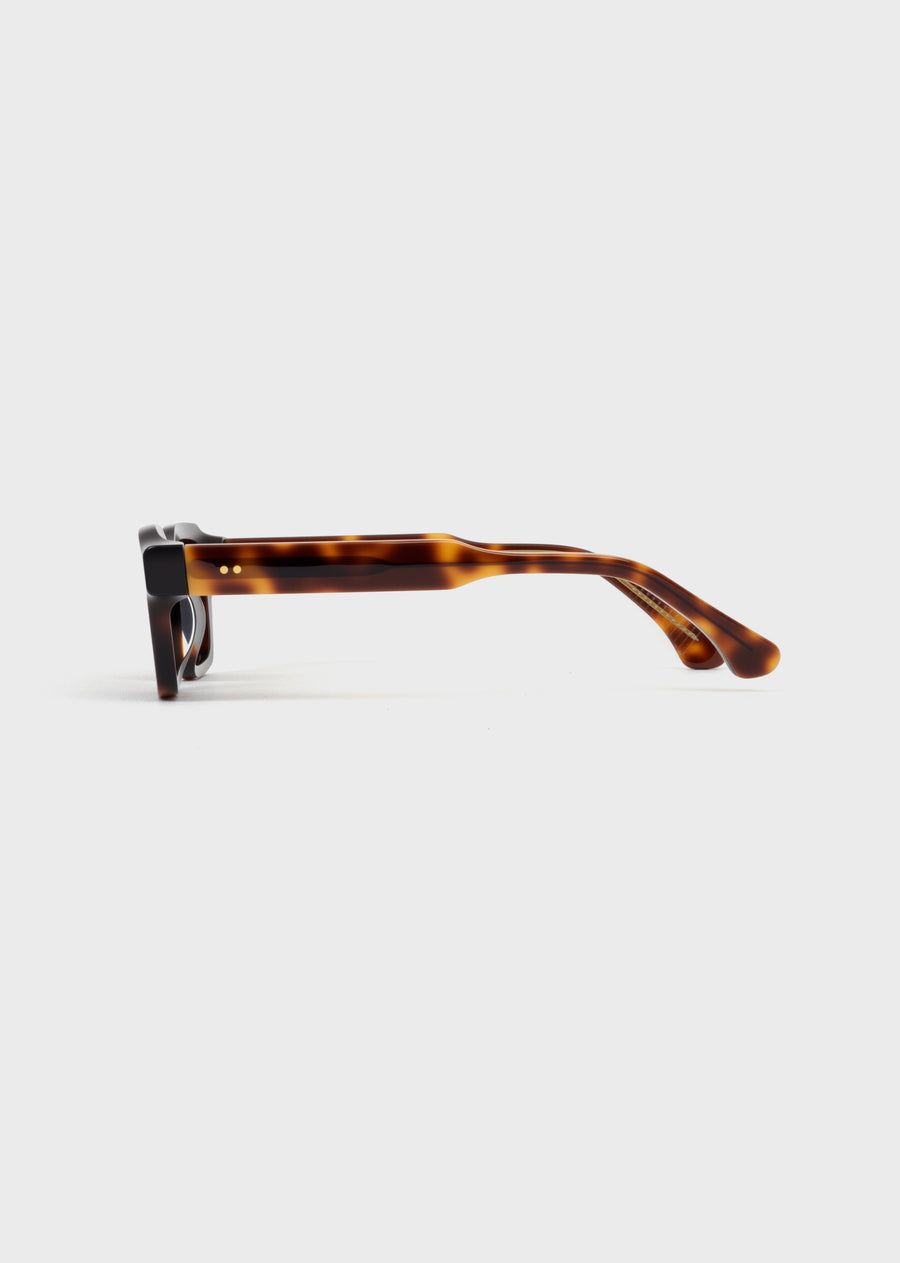 Model 5 Tortoise