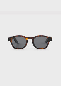 Model 6 Tortoise