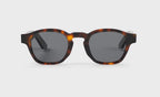 Model 6 Tortoise