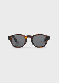 Model 6 Tortoise