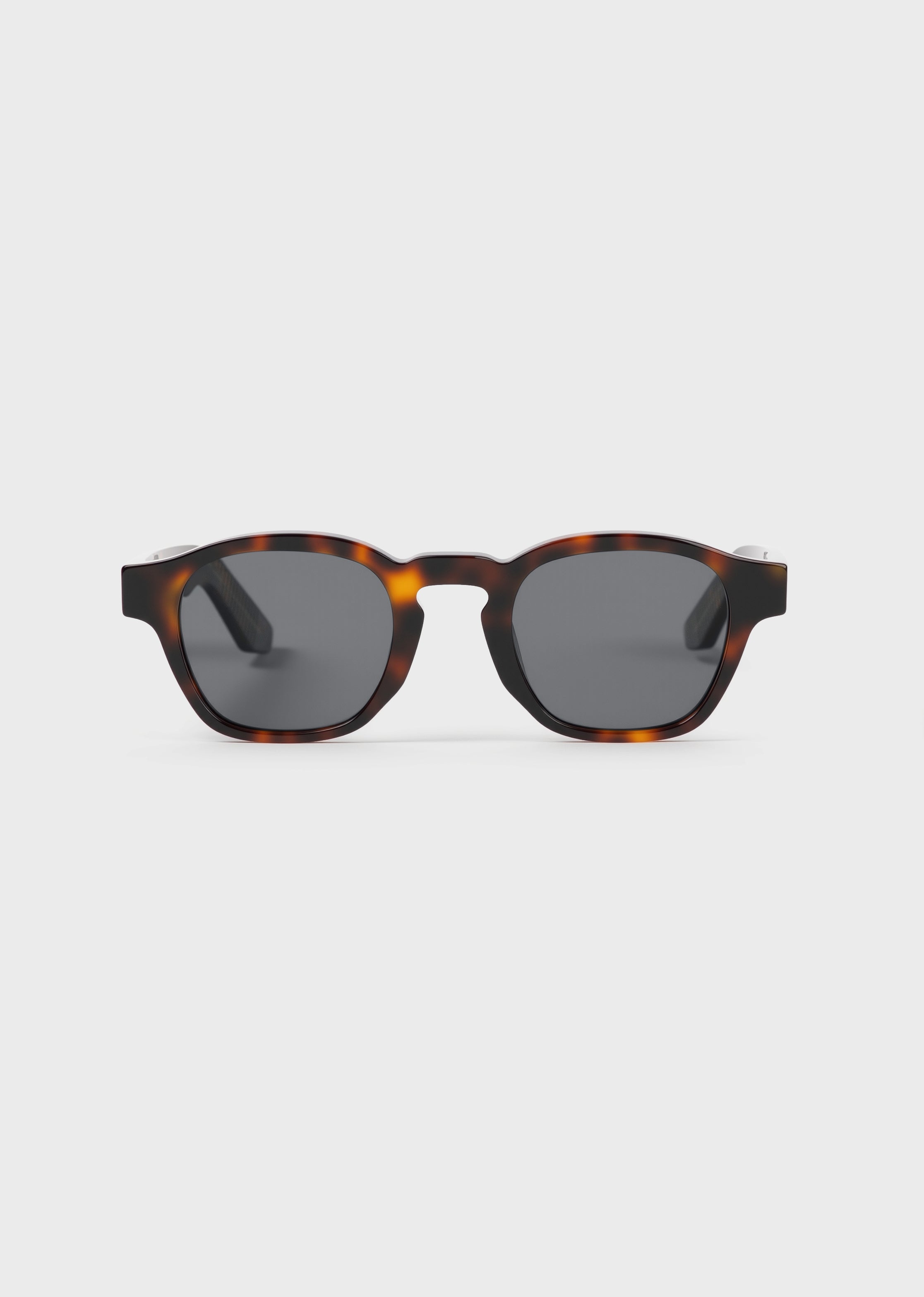 Model 6 Tortoise