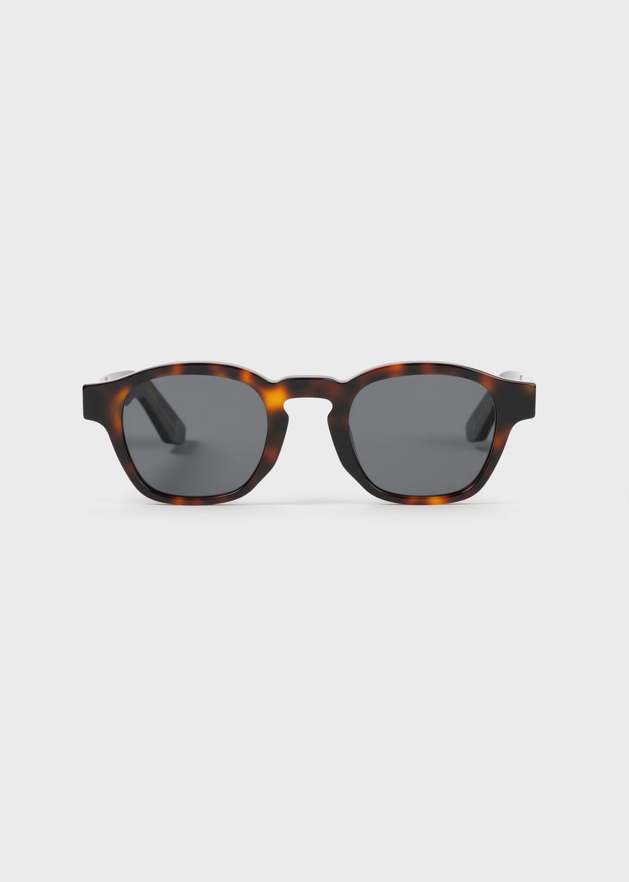 Model 6 Tortoise