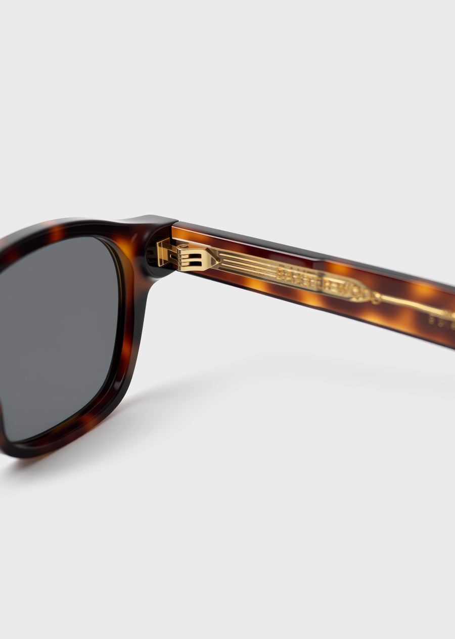 Model 6 Tortoise