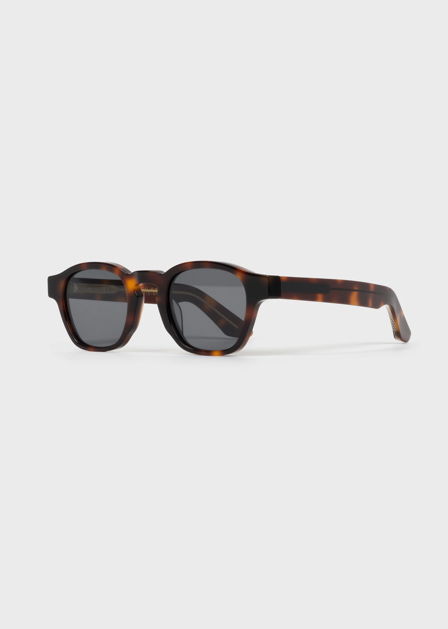 Model 6 Tortoise