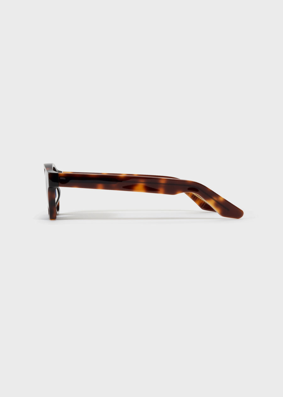 Model 6 Tortoise