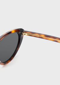 Model 8 Tortoise