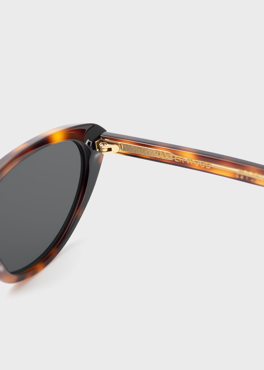 Model 8 Tortoise